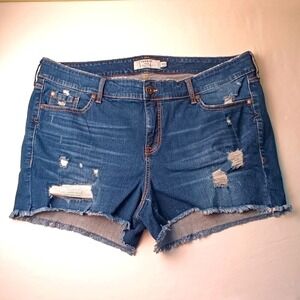 Torrid Womens High Rise Distressed Medium Wash 3.5" Micro Shorts Size 22 Summer